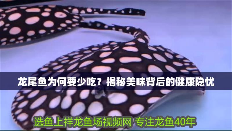 龍尾魚為何要少吃?揭秘美味背后的健康隱憂 龍魚百科 第1張 龍尾魚為何要少吃?揭秘美味背后的健康隱憂 龍尾魚為何要少吃?揭秘美味背后的健康隱憂 龍魚百科 第1張