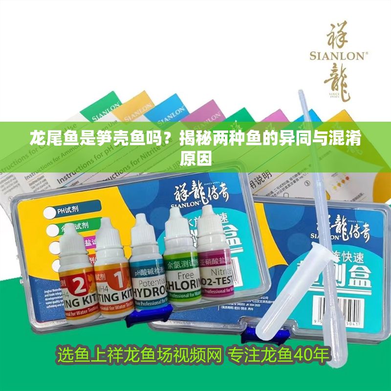 龍尾魚(yú)是筍殼魚(yú)嗎？揭秘兩種魚(yú)的異同與混淆原因