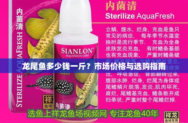 龍尾魚多少錢一斤？市場價格與選購指南