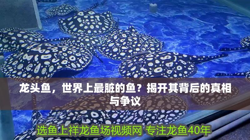 龍頭魚，世界上最臟的魚？揭開其背后的真相與爭議