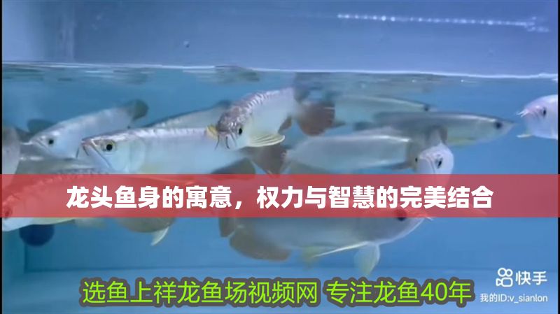 龍頭魚身的寓意，權力與智慧的完美結合