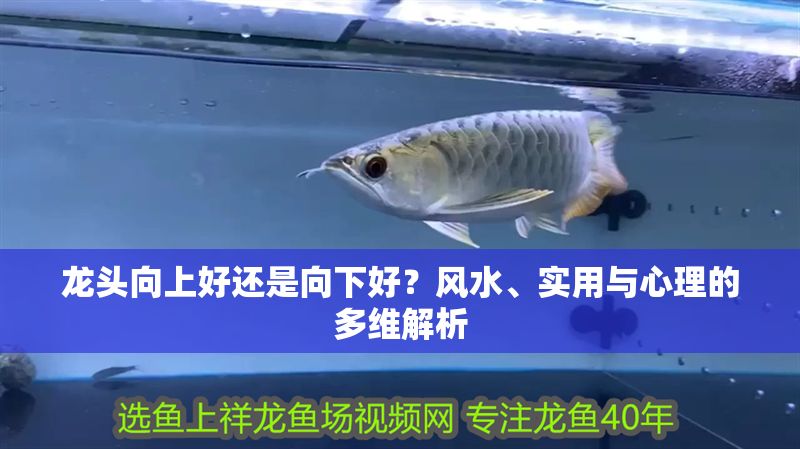 龍頭向上好還是向下好？風(fēng)水、實(shí)用與心理的多維解析