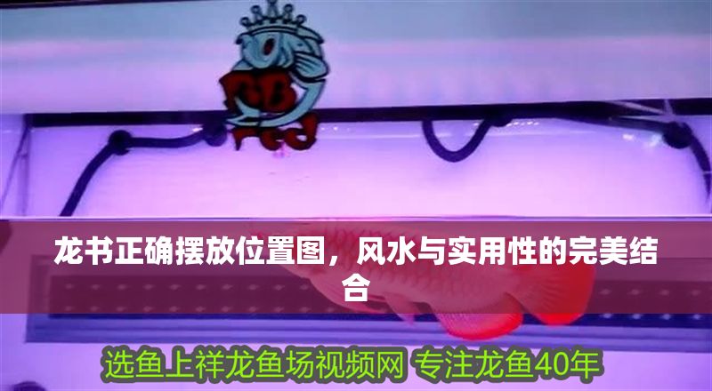 龍書正確擺放位置圖，風水與實用性的完美結合 龍書正確擺放位置圖，風水與實用性的完美結合 龍魚百科 第1張