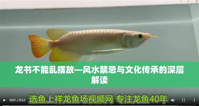 龍書不能亂擺放—風水禁忌與文化傳承的深層解讀