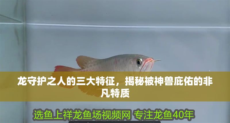 龍守護之人的三大特征，揭秘被神獸庇佑的非凡特質 龍守護之人的三大特征，揭秘被神獸庇佑的非凡特質 龍魚百科 第1張