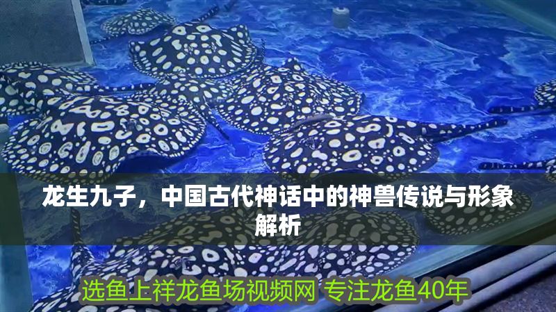 龍生九子，中國古代神話中的神獸傳說與形象解析 龍生九子，中國古代神話中的神獸傳說與形象解析 龍魚百科 第1張