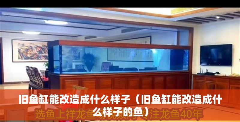 舊魚缸能改造成什么樣子（舊魚缸能改造成什么樣子的魚）
