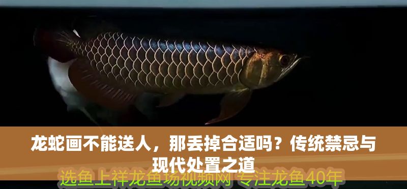 龍蛇畫不能送人，那丟掉合適嗎？傳統禁忌與現代處置之道 龍蛇畫不能送人，那丟掉合適嗎？傳統禁忌與現代處置之道 龍魚百科 第1張