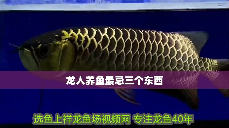 龍人養魚最忌三個東西 龍人養魚最忌三個東西 龍魚百科 第1張