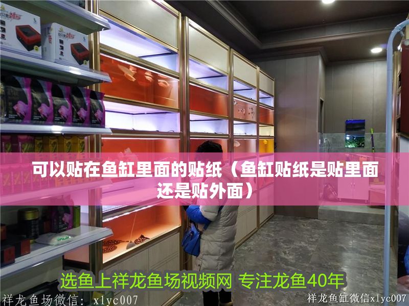 可以貼在魚缸里面的貼紙（魚缸貼紙是貼里面還是貼外面） 可以貼在魚缸里面的貼紙（魚缸貼紙是貼里面還是貼外面） 龍魚百科 第1張