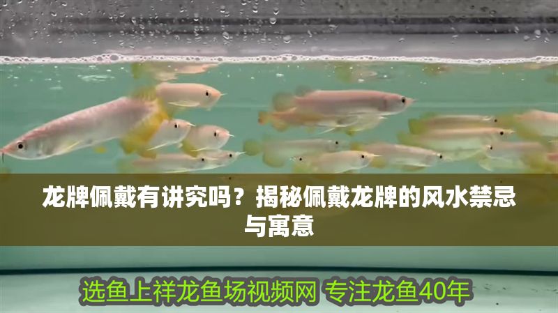 龍牌佩戴有講究嗎？揭秘佩戴龍牌的風(fēng)水禁忌與寓意
