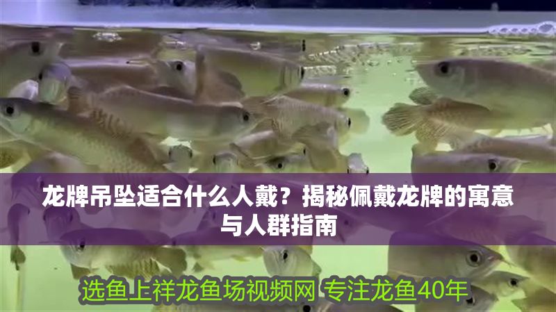 龍牌吊墜適合什么人戴?揭秘佩戴龍牌的寓意與人群指南 龍魚百科 第1張 龍牌吊墜適合什么人戴?揭秘佩戴龍牌的寓意與人群指南 龍牌吊墜適合什么人戴?揭秘佩戴龍牌的寓意與人群指南 龍魚百科 第1張