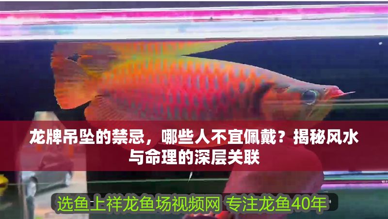 龍牌吊墜的禁忌，哪些人不宜佩戴？揭秘風水與命理的深層關聯