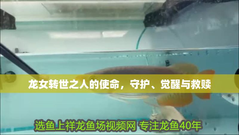 龍女轉(zhuǎn)世之人的使命，守護(hù)、覺醒與救贖 龍女轉(zhuǎn)世之人的使命，守護(hù)、覺醒與救贖 龍魚百科 第1張