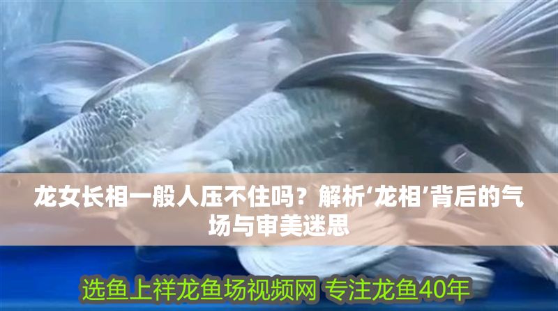 龍女長相一般人壓不住嗎？解析‘龍相’背后的氣場與審美迷思