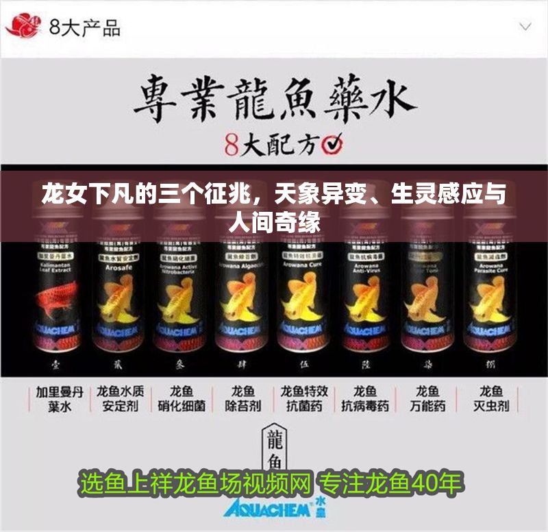 龍女下凡的三個征兆，天象異變、生靈感應與人間奇緣