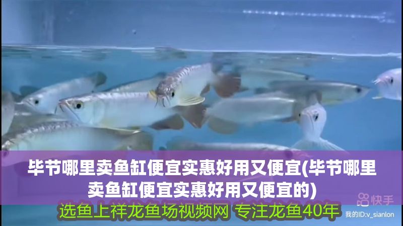 畢節(jié)哪里賣魚缸便宜實惠好用又便宜(畢節(jié)哪里賣魚缸便宜實惠好用又便宜的)