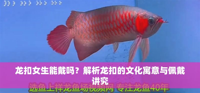 龍扣女生能戴嗎？解析龍扣的文化寓意與佩戴講究