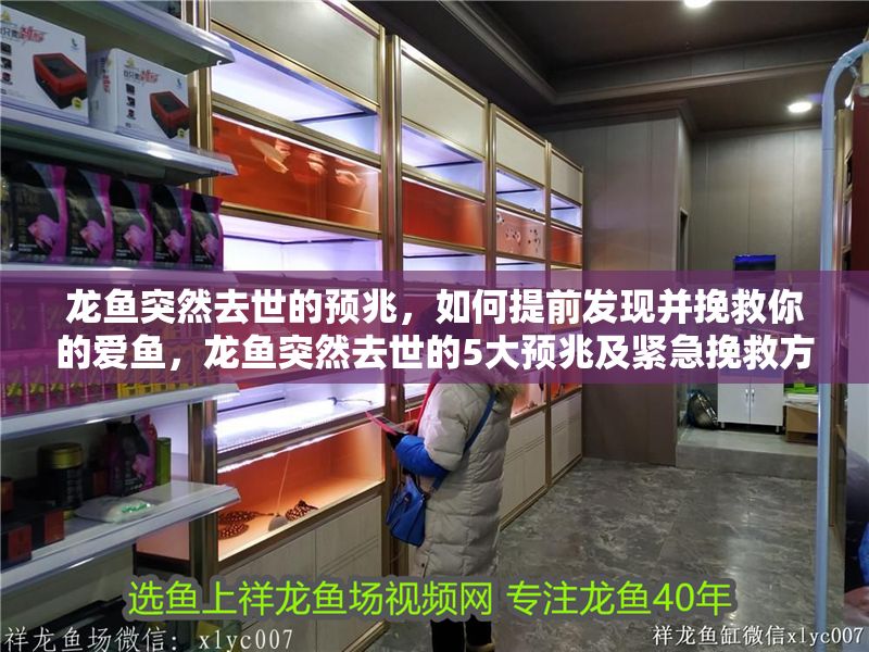 龍魚突然去世的預兆，如何提前發現并挽救你的愛魚，龍魚突然去世的5大預兆及緊急挽救方法，龍魚突然去世的5大預兆及緊急挽救方法