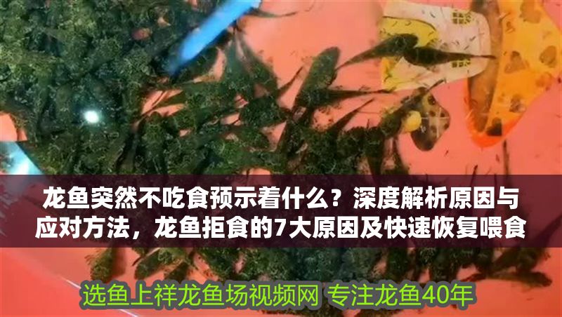龍魚突然不吃食預(yù)示著什么？深度解析原因與應(yīng)對(duì)方法，龍魚拒食的7大原因及快速恢復(fù)喂食技巧，龍魚拒食的7大原因與快速恢復(fù)喂食技巧全解析
