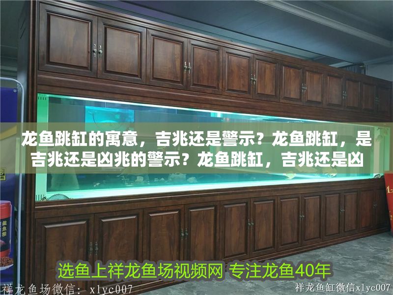 龍魚跳缸的寓意，吉兆還是警示？龍魚跳缸，是吉兆還是兇兆的警示？龍魚跳缸，吉兆還是兇兆的警示？