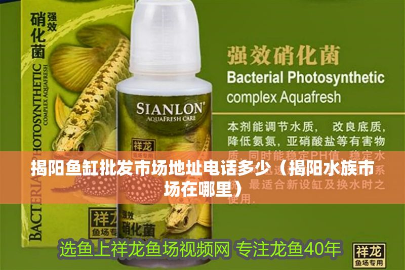 揭陽魚缸批發市場地址電話多少（揭陽水族市場在哪里）