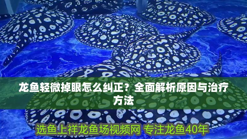 龍魚(yú)輕微掉眼怎么糾正？全面解析原因與治療方法