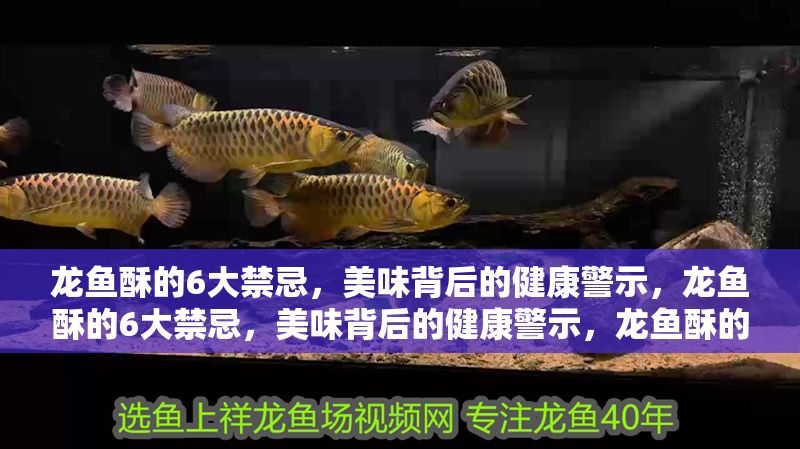 龍魚酥的6大禁忌，美味背后的健康警示，龍魚酥的6大禁忌，美味背后的健康警示，龍魚酥的6大禁忌，美味背后的健康警示