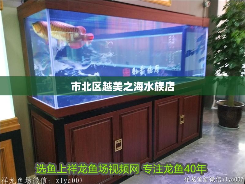 市北區越美之海水族店 市北區越美之海水族店 全國水族館企業名錄 第2張