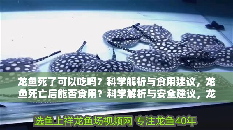 龍魚死了可以吃嗎？科學解析與食用建議，龍魚死亡后能否食用？科學解析與安全建議，龍魚死亡后能否食用？科學解析與安全建議 龍魚死了可以吃嗎？科學解析與食用建議，龍魚死亡后能否食用？科學解析與安全建議，龍魚死亡后能否食用？科學解析與安全建議 龍魚百科 第1張