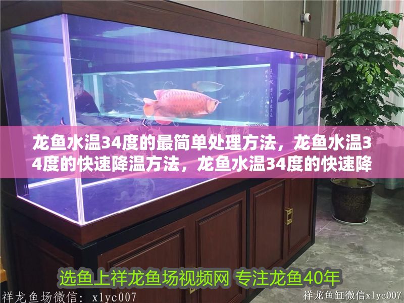 龍魚水溫34度的最簡單處理方法，龍魚水溫34度的快速降溫方法，龍魚水溫34度的快速降溫方法