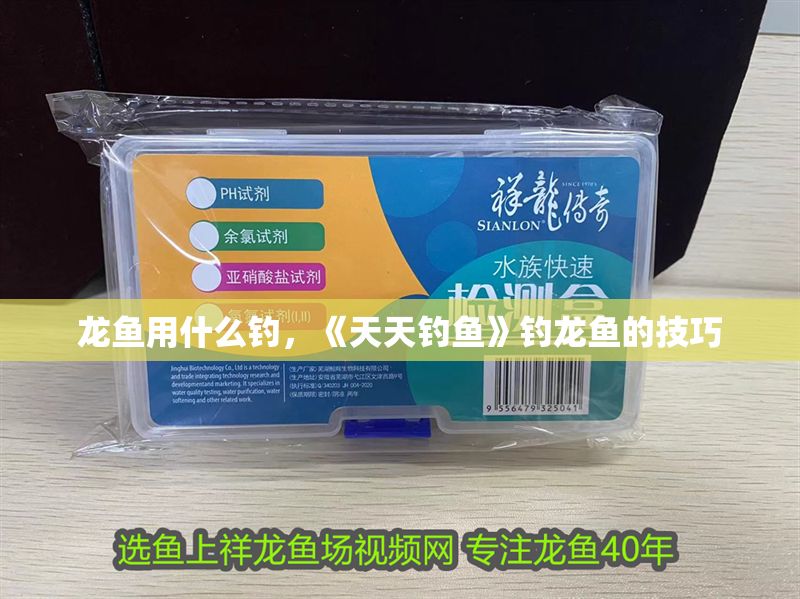 龍魚用什么釣，《天天釣魚》釣龍魚的技巧