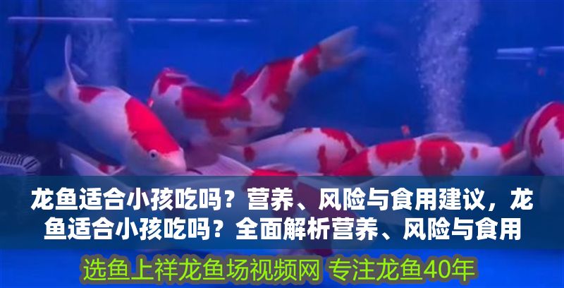 龍魚適合小孩吃嗎？營養、風險與食用建議，龍魚適合小孩吃嗎？全面解析營養、風險與食用建議，龍魚適合小孩吃嗎？全面解析營養、風險與食用建議