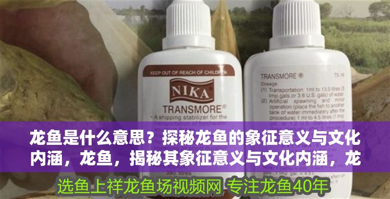 龍魚是什么意思？探秘龍魚的象征意義與文化內涵，龍魚，揭秘其象征意義與文化內涵，龍魚的象征意義與文化內涵探秘