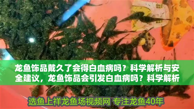 龍魚飾品戴久了會得白血病嗎？科學解析與安全建議，龍魚飾品會引發白血病嗎？科學解析佩戴安全與健康建議，龍魚飾品會引發白血病嗎？科學解析佩戴安全與健康風險 龍魚飾品戴久了會得白血病嗎？科學解析與安全建議，龍魚飾品會引發白血病嗎？科學解析佩戴安全與健康建議，龍魚飾品會引發白血病嗎？科學解析佩戴安全與健康風險 龍魚百科 第2張