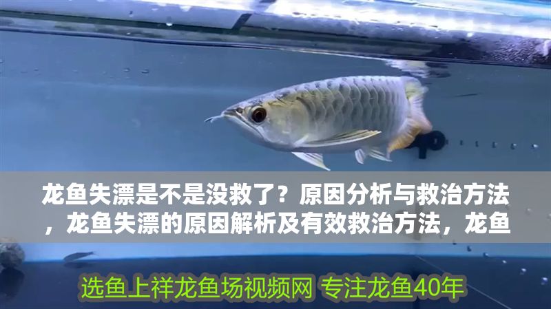 龍魚失漂是不是沒救了?原因分析與救治方法,龍魚失漂的原因解析及有效救治方法,龍魚失漂的原因解析及有效救治方法 龍魚百科 第1張 龍魚失漂是不是沒救了?原因分析與救治方法,龍魚失漂的原因解析及有效救治方法,龍魚失漂的原因解析及有效救治方法 龍魚失漂是不是沒救了?原因分析與救治方法,龍魚失漂的原因解析及有效救治方法,龍魚失漂的原因解析及有效救治方法 龍魚百科 第1張