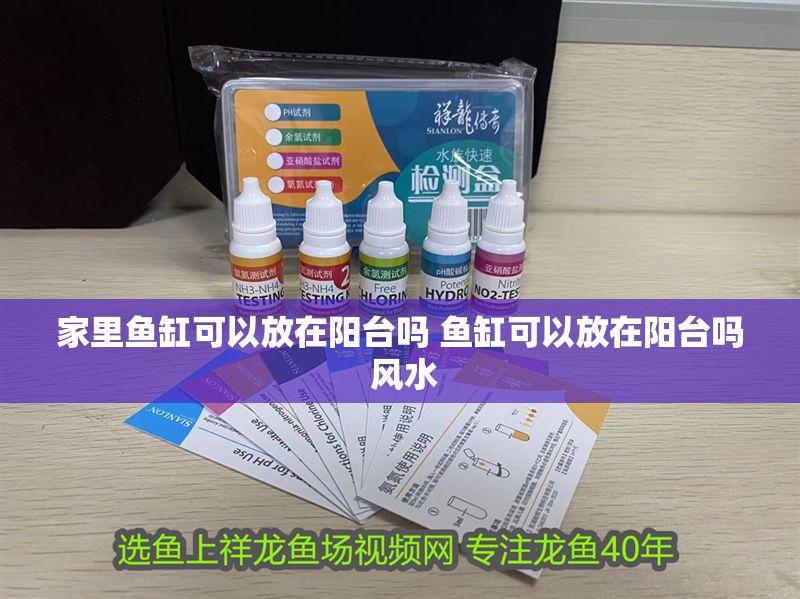 家里魚缸可以放在陽臺嗎 魚缸可以放在陽臺嗎 風(fēng)水 家里魚缸可以放在陽臺嗎 魚缸可以放在陽臺嗎 風(fēng)水 龍魚百科 第1張