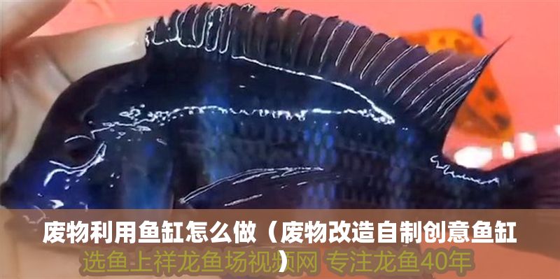 廢物利用魚缸怎么做（廢物改造自制創意魚缸） 廢物利用魚缸怎么做（廢物改造自制創意魚缸） 龍魚百科 第1張