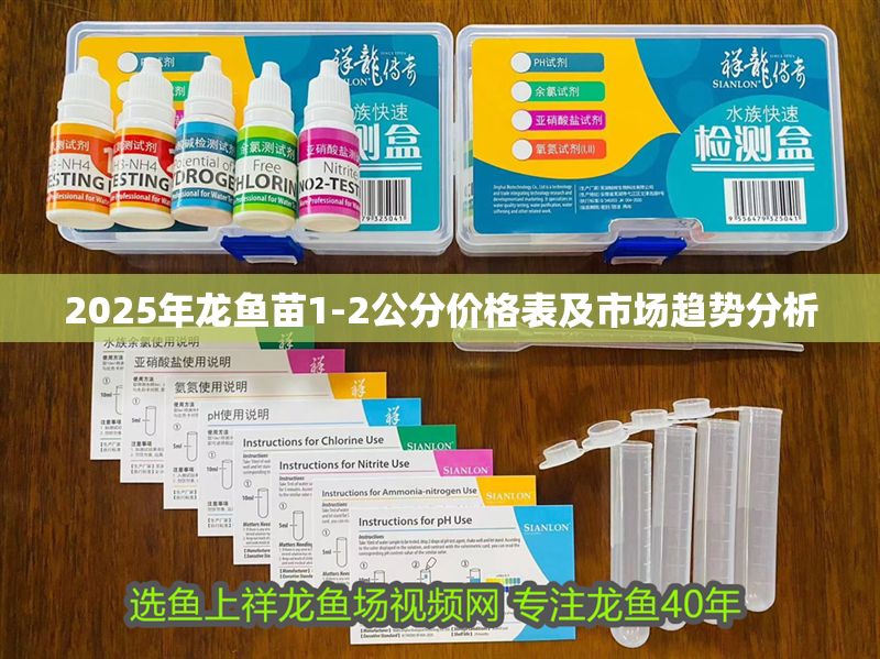 2025年龍魚苗1-2公分價格表及市場趨勢分析