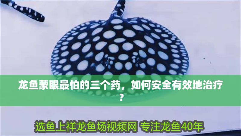 龍魚蒙眼最怕的三個藥，如何安全有效地治療？ 龍魚蒙眼最怕的三個藥，如何安全有效地治療？ 龍魚百科 第1張
