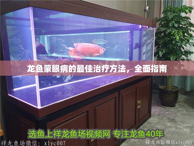龍魚蒙眼病的最佳治療方法，全面指南