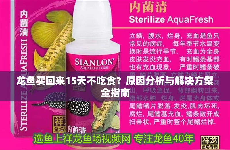 龍魚買回來15天不吃食？原因分析與解決方案全指南