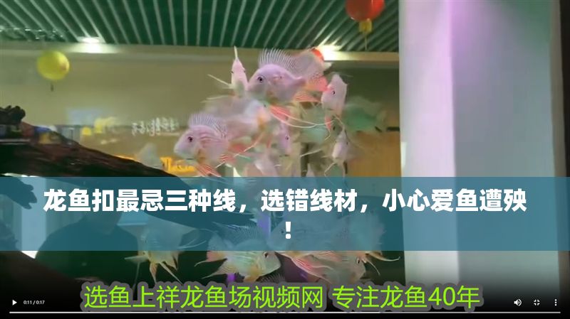 龍魚扣最忌三種線，選錯線材，小心愛魚遭殃！ 龍魚扣最忌三種線，選錯線材，小心愛魚遭殃！ 龍魚百科 第1張