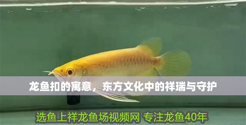 龍魚扣的寓意，東方文化中的祥瑞與守護