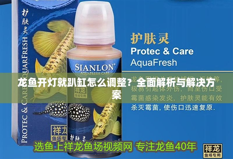 龍魚開燈就趴缸怎么調整？全面解析與解決方案