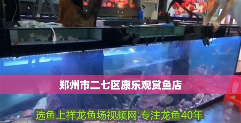鄭州市二七區(qū)康樂觀賞魚店
