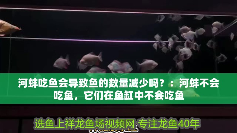 河蚌吃魚會導致魚的數量減少嗎？：河蚌不會吃魚，它們在魚缸中不會吃魚