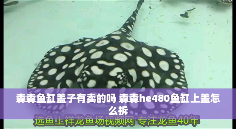 森森魚缸蓋子有賣的嗎 森森h(huán)e480魚缸上蓋怎么拆