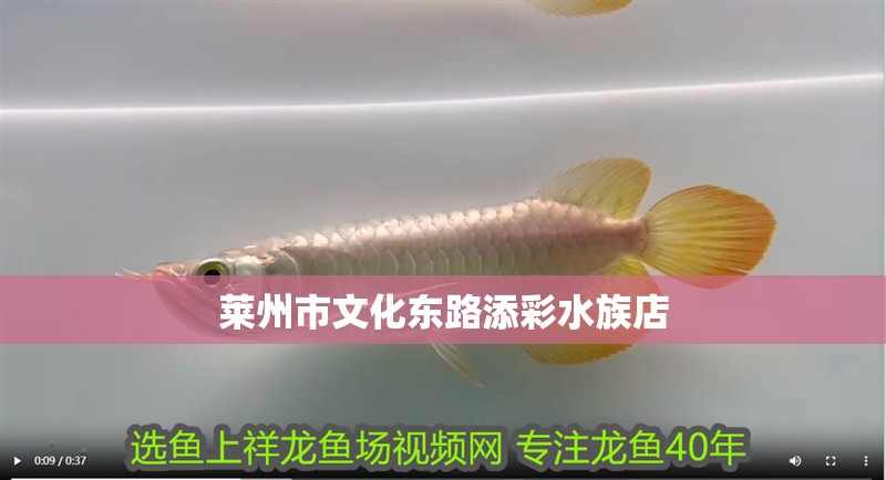 萊州市文化東路添彩水族店