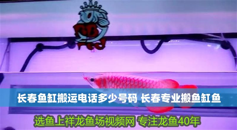 長春魚缸搬運電話多少號碼 長春專業搬魚缸魚